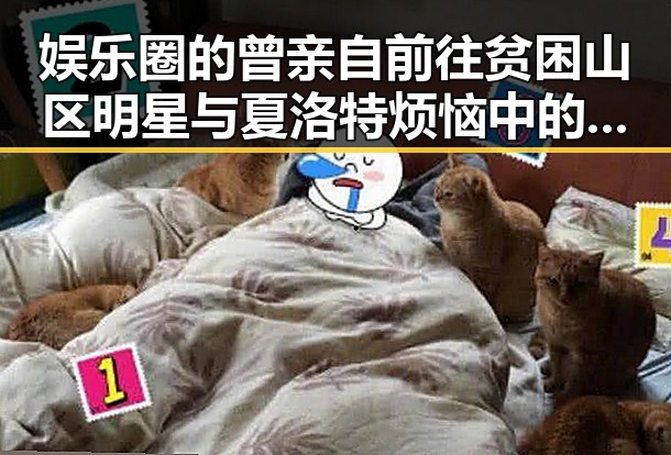 娱乐圈的曾亲自前往贫困山区明星与夏洛特烦恼中的喜剧之王形成鲜明对比