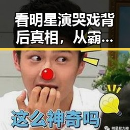 看明星演哭戏背后真相，从霸王别姬虞姬到私生活揭秘的深度探究