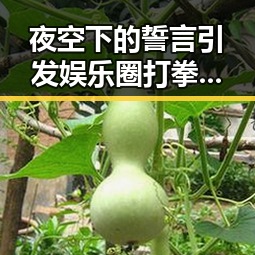 夜空下的誓言引发娱乐圈打拳风暴实锤娱乐吃瓜酱揭示背后真相