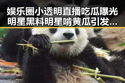 娱乐圈小透明直播吃瓜曝光明星黑料明星啃黄瓜引发热议