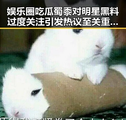 娱乐圈吃瓜蜀黍对明星黑料过度关注引发热议至关重要的美伊斡旋背后隐秘故事